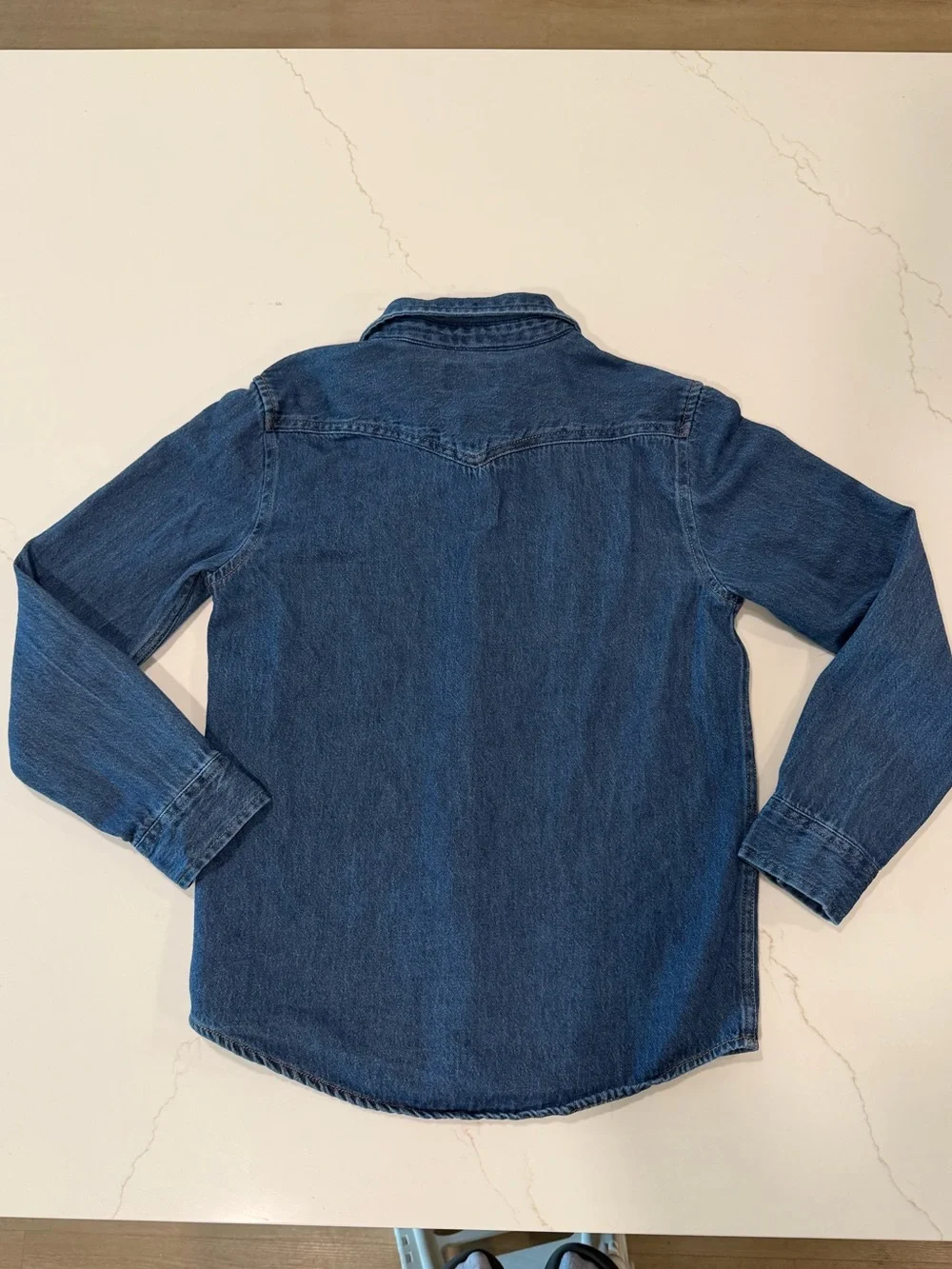 Wrangler Blue Denim Button-Up Shirt